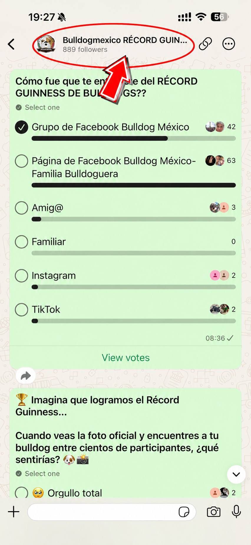 Pantalla de encuesta en celular con opciones para elegir origen del récord Guinness de Bulldog México.