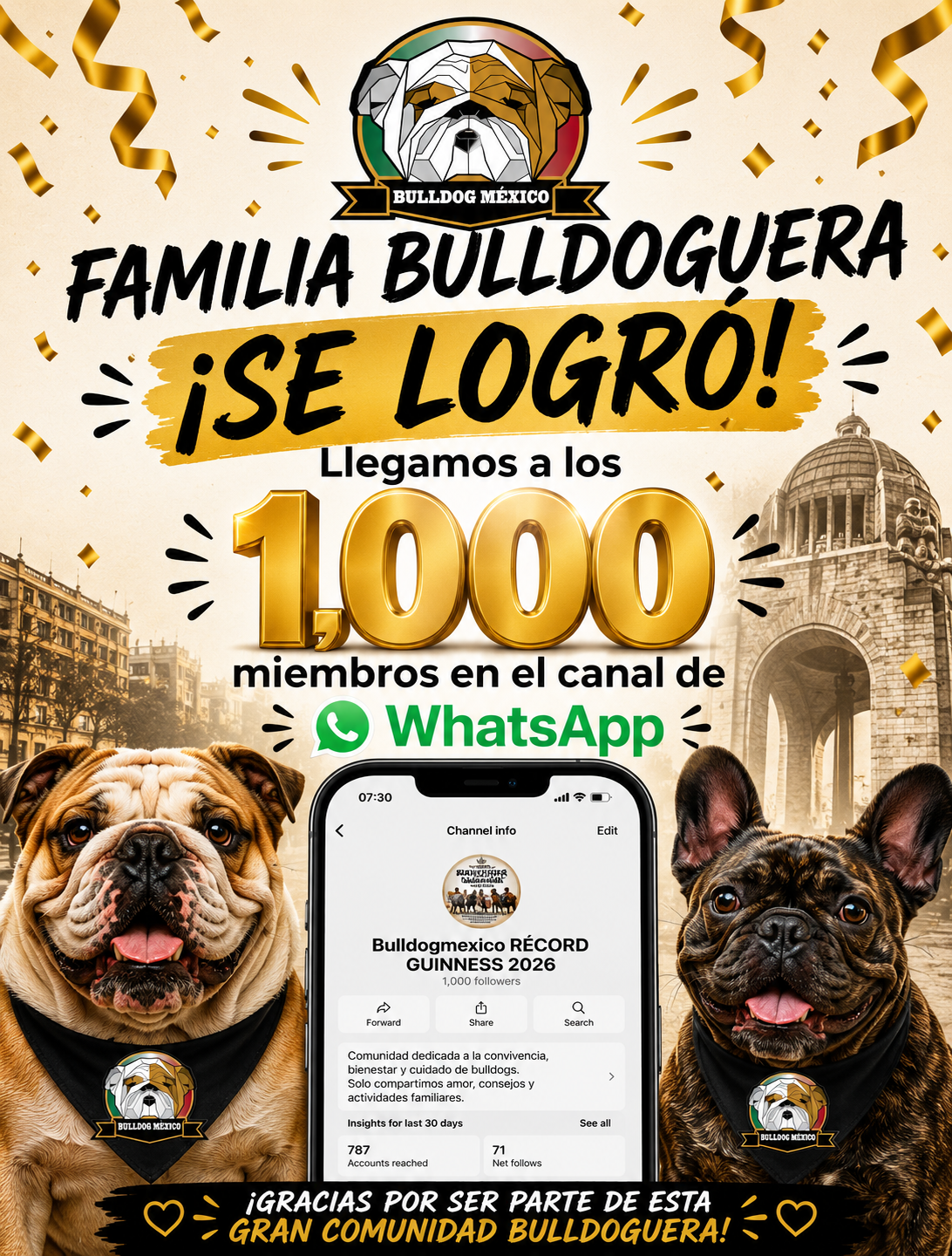 Pantalla de encuesta en celular con opciones para elegir origen del récord Guinness de Bulldog México.